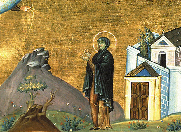 OsiaDomniki